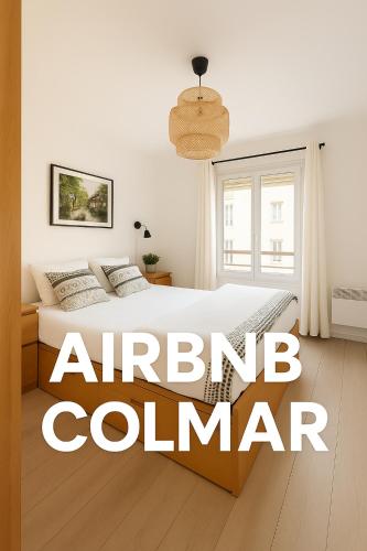 Coup de cœur à Colmar Appartement en plein centre