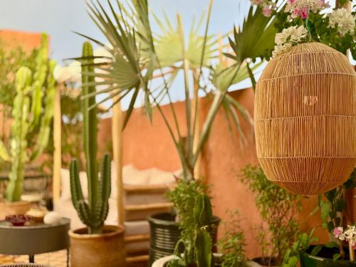 En have udenfor Vibrant Medina Loft and Roof Top