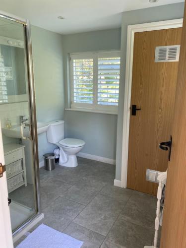a bathroom with a toilet and a glass door at Melbury in Rudgwick