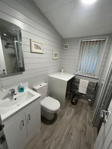 a bathroom with a white toilet and a sink at No 4 Dane Park in Lymington