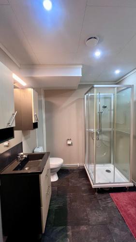 a bathroom with a glass shower and a toilet at Arctic Dream in Gratangen