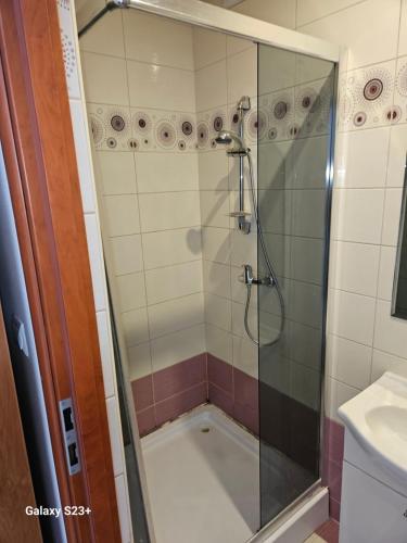 a shower with a glass door in a bathroom at Bobowianka in Bobowa