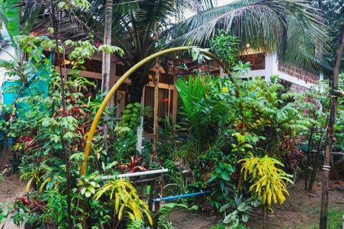 Κήπος έξω από το Kudle Heaven