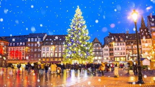 Clients de l'établissement Logement 2 pièces cosy avec parking privé