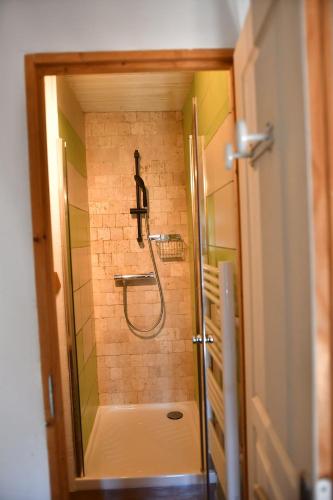 petite maison à Huez في Huez: دش في الحمام مع باب زجاجي