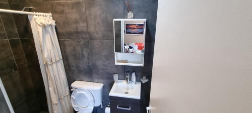 a bathroom with a toilet and a sink and a mirror at El jacaranda Alojamiento Diario in San Luis