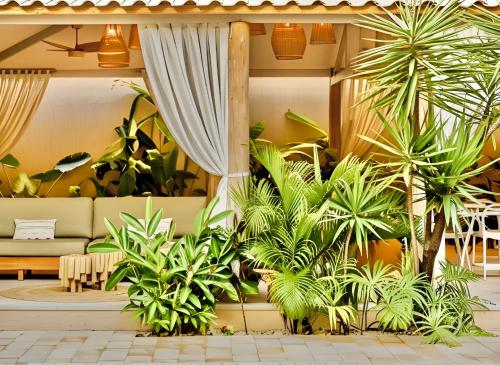 a living room filled with lots of plants at Pousada Vina in Jericoacoara