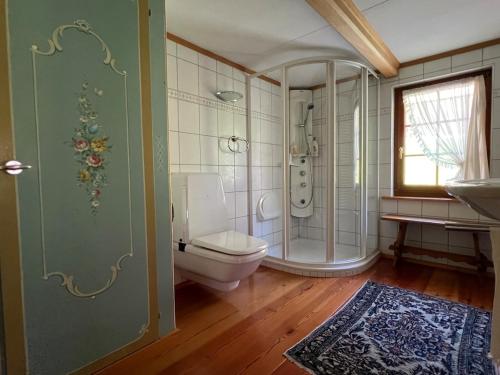 a bathroom with a shower and a toilet and a sink at Beatli Chalet in Wildhaus