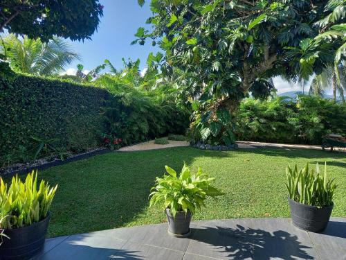 ein Garten mit zwei Topfpflanzen auf einer Wiese in der Unterkunft CAP COULEURS Guadeloupe in Lamentin