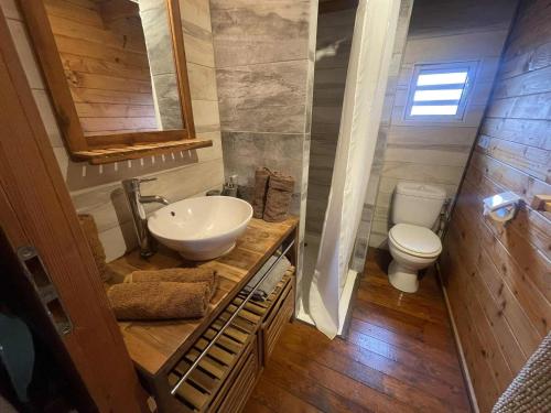 a bathroom with a sink and a toilet at Les Bungalows les Vanilliers, Sud Sauvage avec piscine in Saint-Joseph
