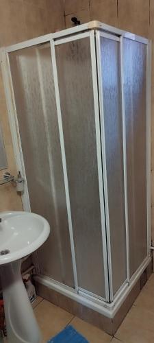 a shower stall in a bathroom with a sink at Stancic 019 in Zaječar