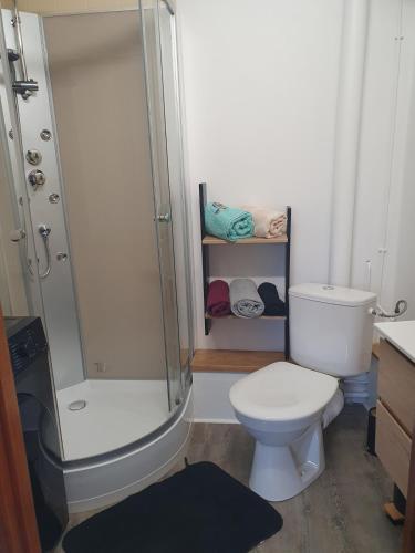a bathroom with a white toilet and a shower at Maison de campagne in Aignay-le-Duc
