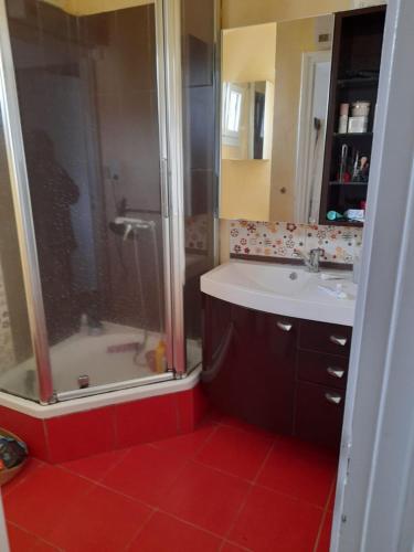a bathroom with a shower and a sink at Escale fleurie in Toulouse