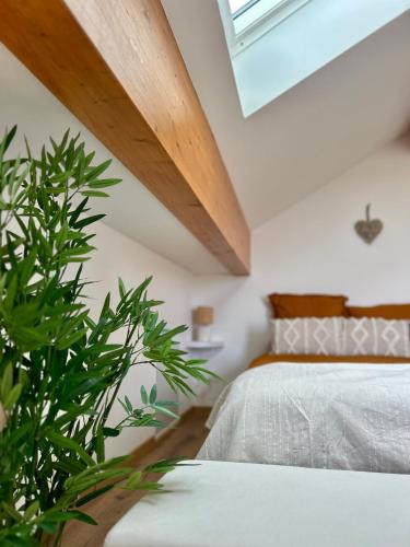a bedroom with a bed and a plant at Les Gîtes de la Source de la Loire in Sainte-Eulalie