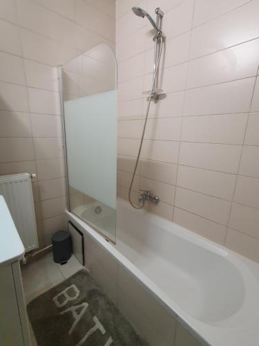 a bathroom with a shower and a tub with a mirror at Laaglandlaan 1 in Antwerp