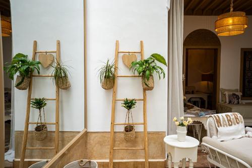 a living room with potted plants on shelves at Riad Les Orangers D'alilia in Marrakech
