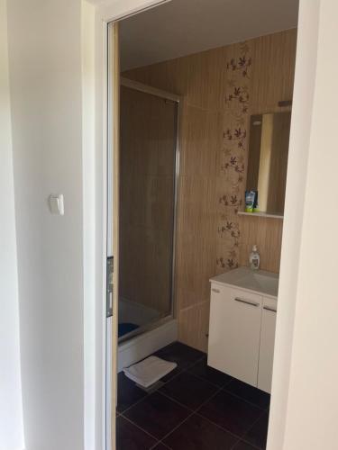 Fotografie z fotogalerie ubytování Sobe Jelengrad v destinaci Petrijevci