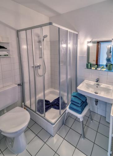 a bathroom with a shower and a toilet and a sink at Baltic Stuben Hotel Garni Travemünde in Lübeck