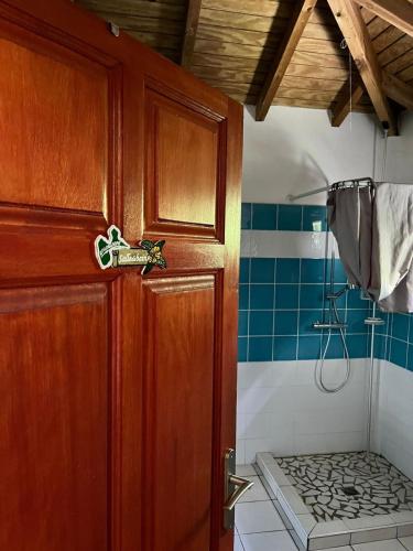 a bathroom with a shower and a wooden door at Bungalow Ludivine in Sainte-Anne