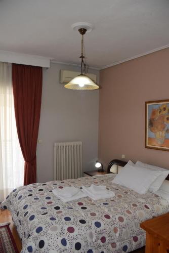 Vasiliki Apartment Trikala