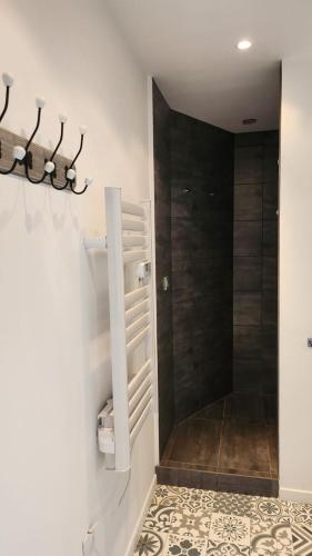a bathroom with a walk in shower next to a toilet at Gîte le clos Normand in Saint-Jouin-Bruneval