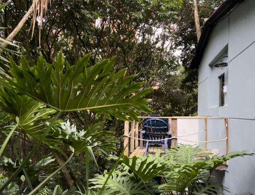 Central Tiny house surrounded by nature