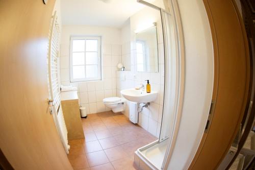 a bathroom with a sink and a toilet and a mirror at Apartment in Prerow with terrace & close to the beach in Prerow