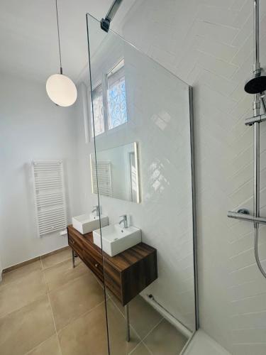 a bathroom with a sink and a glass shower at Hyper Centre Cathédrale Boulingrin 101 in Reims
