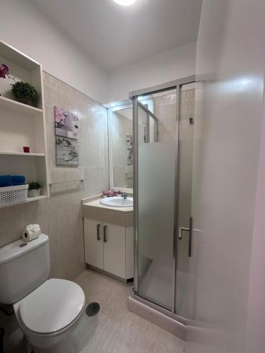 a bathroom with a toilet and a shower and a sink at Ocean View in Santa Cruz