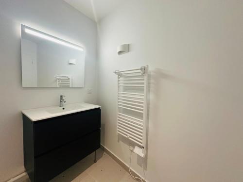 a bathroom with a sink and a mirror at Hyper Centre Cathedral Boulingrin 201 in Reims