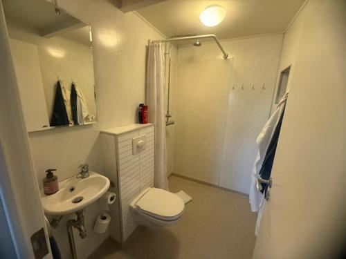 a white bathroom with a toilet and a sink at Fagrahlid Guesthouse in Hvolsvöllur