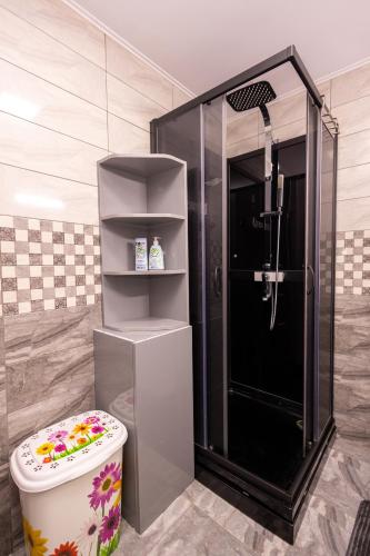 a bathroom with a shower with a toilet in it at Cabana Walter Curtea de Arges with BBQ and Garden in Curtea de Argeş