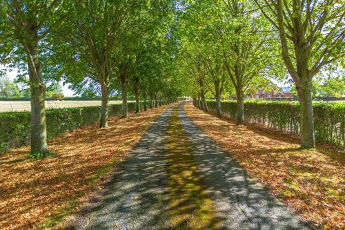a tree lined road with trees and a fence at Cotton Farm Estate - 4 Cottages Sleeps 16 in Aston Somerville