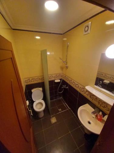 a small bathroom with a toilet and a sink at فندق برستيج العقبه Prestig in Aqaba