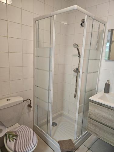 a shower with a glass door in a bathroom at Studio des Thermes in Amnéville