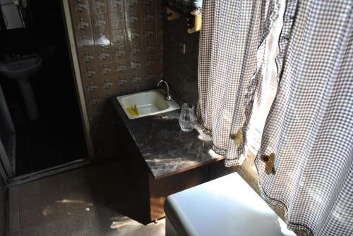 a bathroom with a sink and a shower curtain at Colibri Home in Kutaisi
