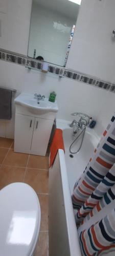a bathroom with a toilet and a sink at Palace flat in London