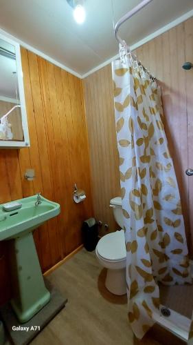 a bathroom with a toilet and a shower curtain at CABAÑA EL BUHO - ESMERALDA in Puerto Natales