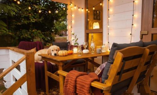 Χώρος καθιστικού στο Sielankownia