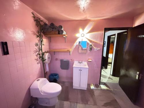 オアハカにあるDepartamento en el centro de Oaxacaのピンクのバスルーム(トイレ、シンク付)