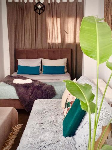 Giường trong phòng chung tại À côté du parc saada la marsa