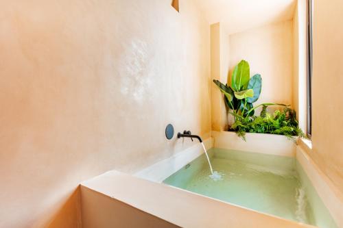 bagno con vasca e pianta di Studios with Plunge Pool near the Beach a Playa del Carmen