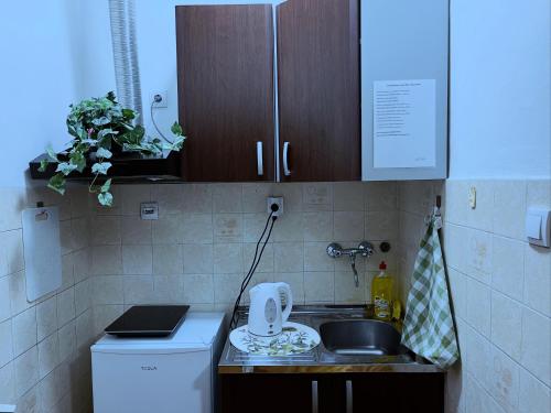 Kuchyň nebo kuchyňský kout v ubytování Cool Apartman 1 Centar Smederevska Palanka