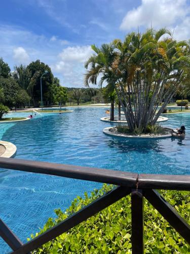 ein Schwimmbad mit einer Palme in der Mitte in der Unterkunft Apartamento no resort in Barra de São Miguel