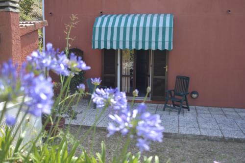 Zahrada ubytování Hotel La Feluca