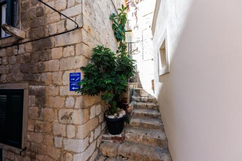 Penelope, rustic apartment next to the City Walls