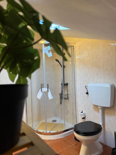 a bathroom with a glass shower with a toilet at Blend-Inn Summer House in São Martinho do Porto