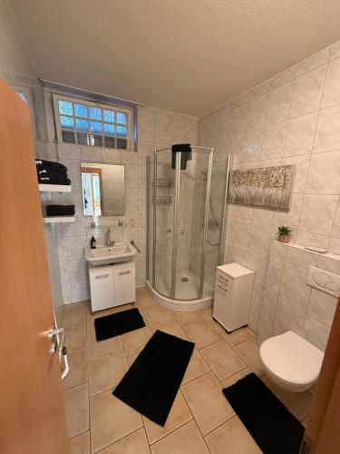 a bathroom with a shower and a toilet and a sink at Flexi Flats Vermietung in Lingen