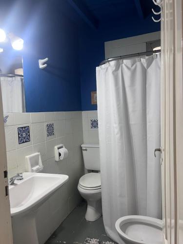 a bathroom with a white toilet and a sink at La Casita in Neuquén