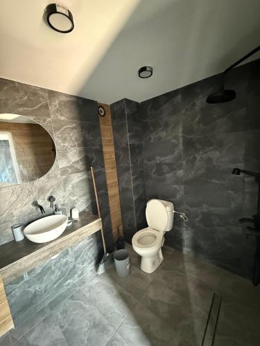 a bathroom with a toilet and a sink and a mirror at Zoon on in Costinesti